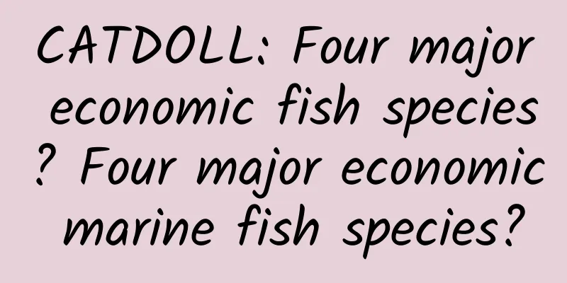 CATDOLL: Four major economic fish species? Four major economic marine fish species?