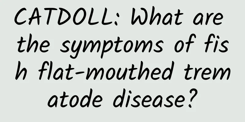 CATDOLL: What are the symptoms of fish flat-mouthed trematode disease?