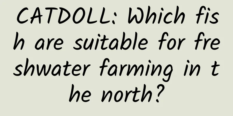 CATDOLL: Which fish are suitable for freshwater farming in the north?