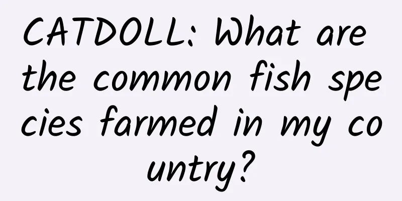 CATDOLL: What are the common fish species farmed in my country?