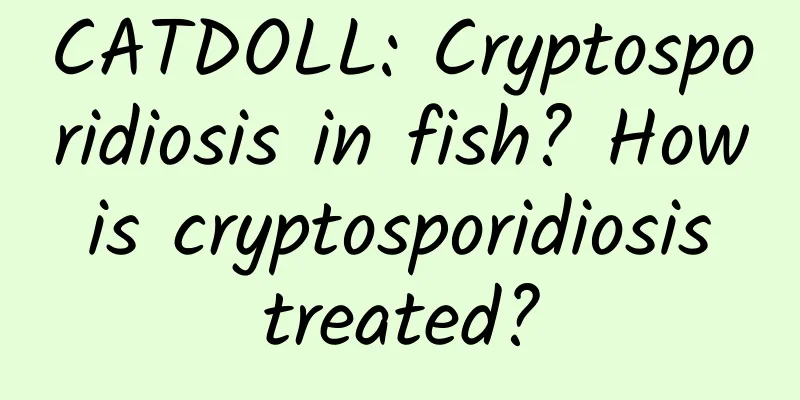 CATDOLL: Cryptosporidiosis in fish? How is cryptosporidiosis treated?