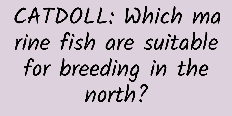 CATDOLL: Which marine fish are suitable for breeding in the north?