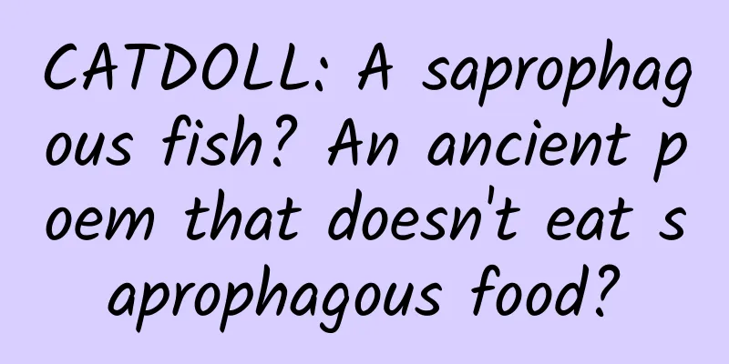 CATDOLL: A saprophagous fish? An ancient poem that doesn't eat saprophagous food?