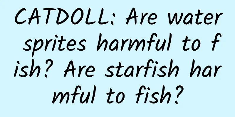 CATDOLL: Are water sprites harmful to fish? Are starfish harmful to fish?
