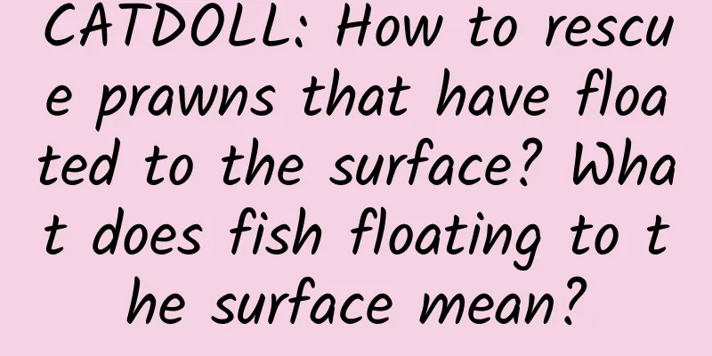 CATDOLL: How to rescue prawns that have floated to the surface? What does fish floating to the surface mean?