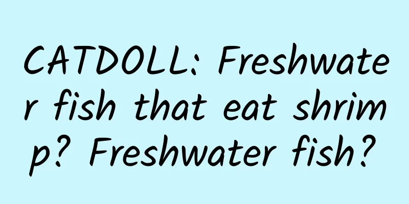 CATDOLL: Freshwater fish that eat shrimp? Freshwater fish?
