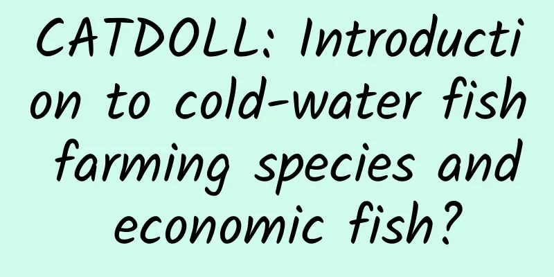 CATDOLL: Introduction to cold-water fish farming species and economic fish?