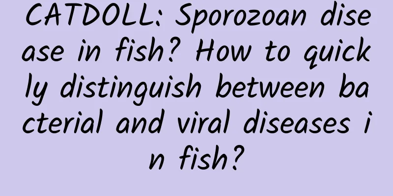 CATDOLL: Sporozoan disease in fish? How to quickly distinguish between bacterial and viral diseases in fish?