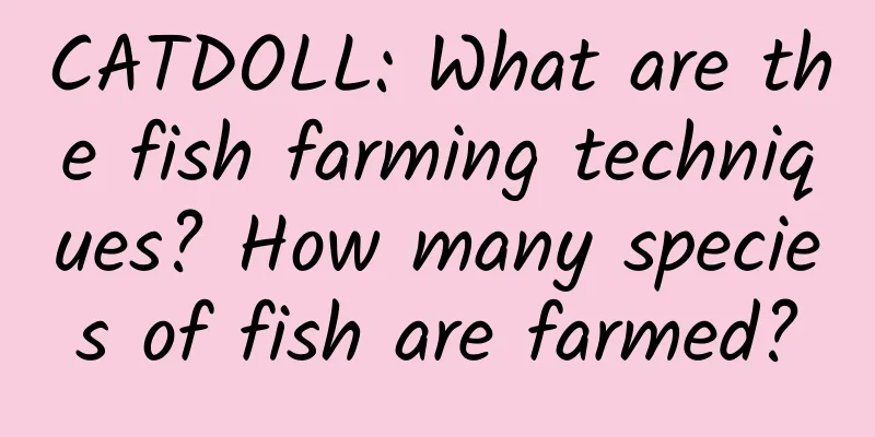 CATDOLL: What are the fish farming techniques? How many species of fish are farmed?