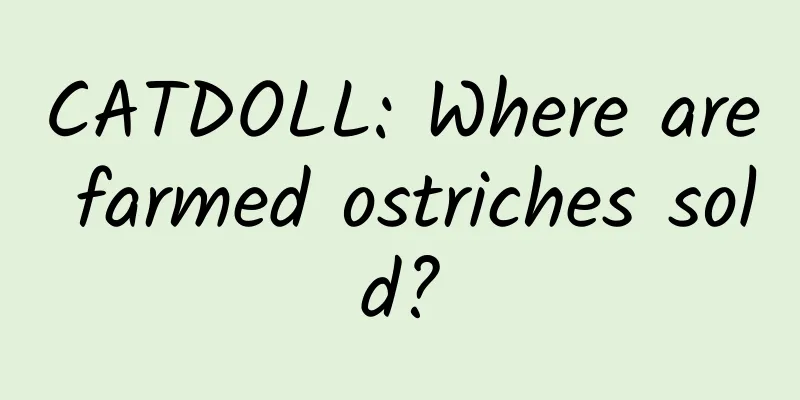 CATDOLL: Where are farmed ostriches sold?