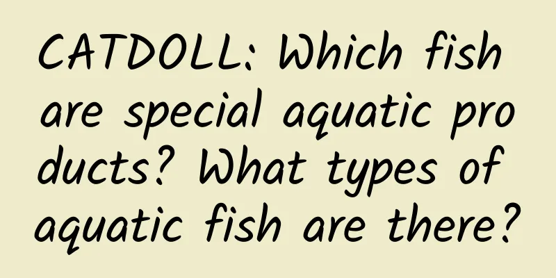 CATDOLL: Which fish are special aquatic products? What types of aquatic fish are there?