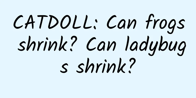 CATDOLL: Can frogs shrink? Can ladybugs shrink?