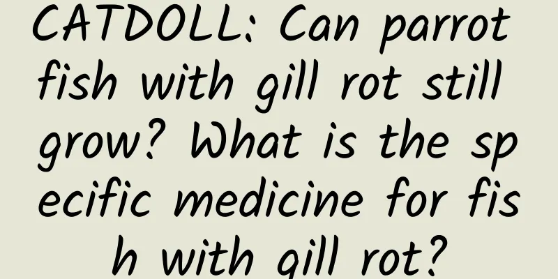 CATDOLL: Can parrot fish with gill rot still grow? What is the specific medicine for fish with gill rot?