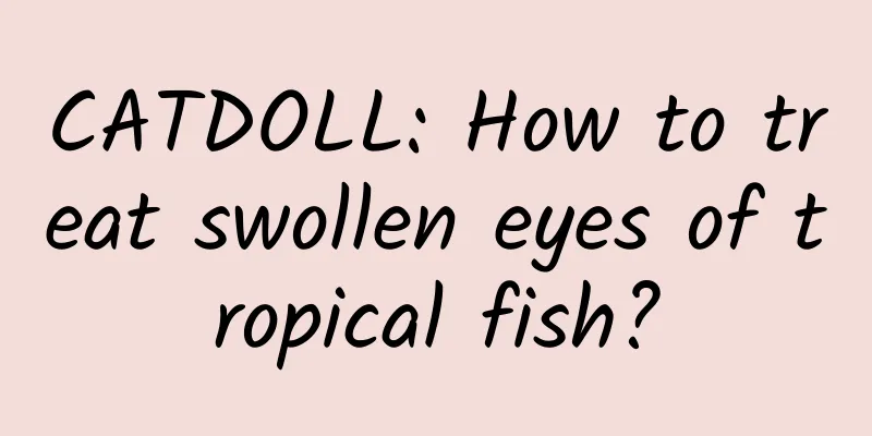 CATDOLL: How to treat swollen eyes of tropical fish?