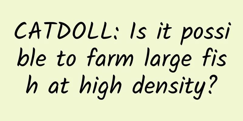 CATDOLL: Is it possible to farm large fish at high density?