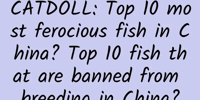 CATDOLL: Top 10 most ferocious fish in China? Top 10 fish that are banned from breeding in China?