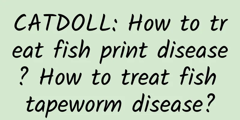 CATDOLL: How to treat fish print disease? How to treat fish tapeworm disease?