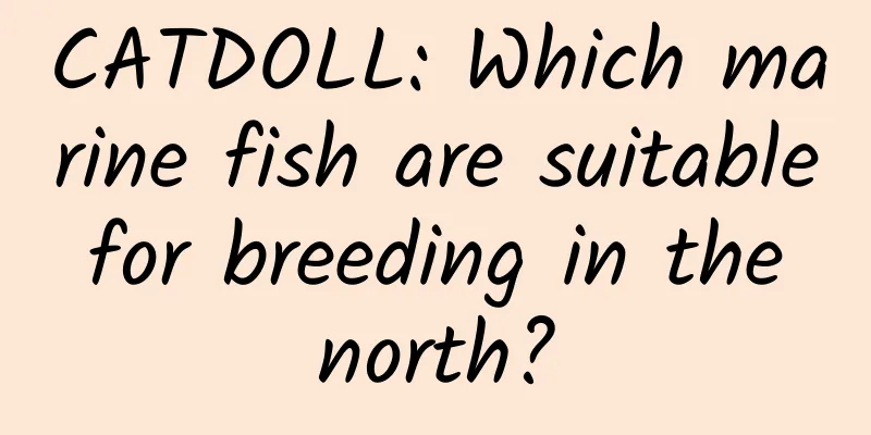 CATDOLL: Which marine fish are suitable for breeding in the north?