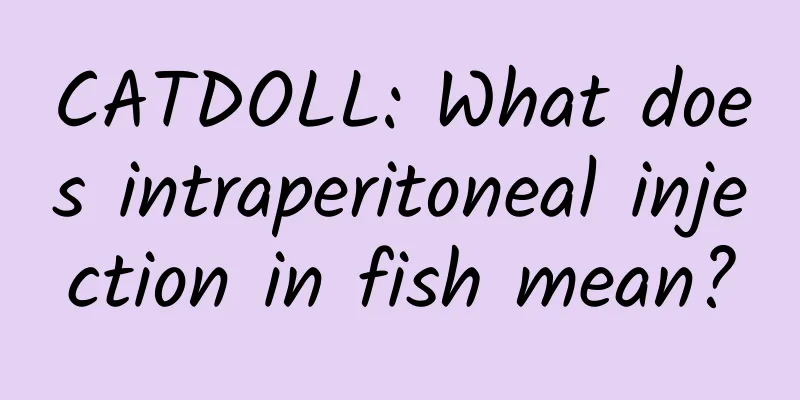 CATDOLL: What does intraperitoneal injection in fish mean?