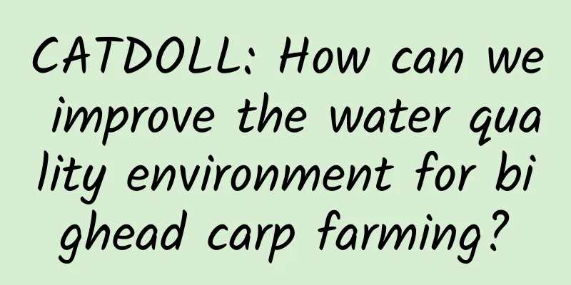 CATDOLL: How can we improve the water quality environment for bighead carp farming?
