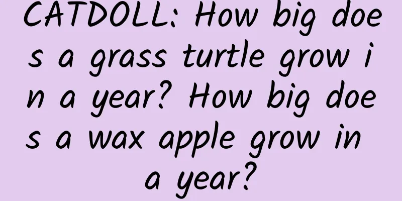 CATDOLL: How big does a grass turtle grow in a year? How big does a wax apple grow in a year?
