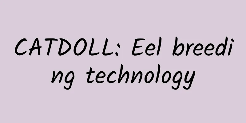 CATDOLL: Eel breeding technology
