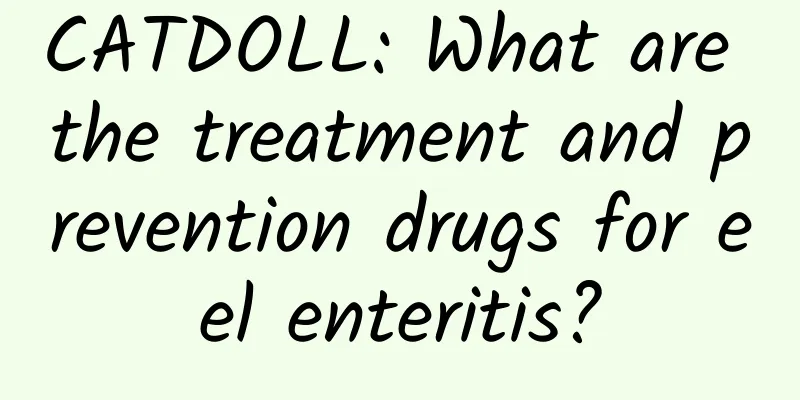 CATDOLL: What are the treatment and prevention drugs for eel enteritis?