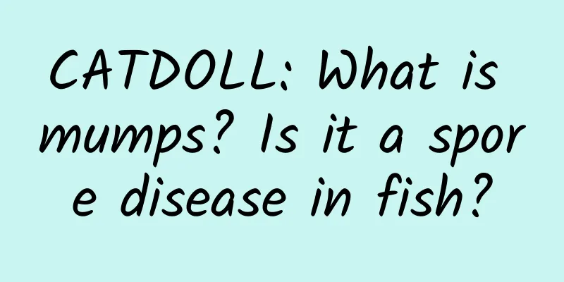 CATDOLL: What is mumps? Is it a spore disease in fish?