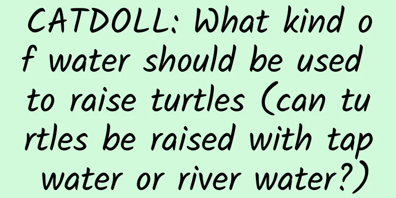 CATDOLL: What kind of water should be used to raise turtles (can turtles be raised with tap water or river water?)