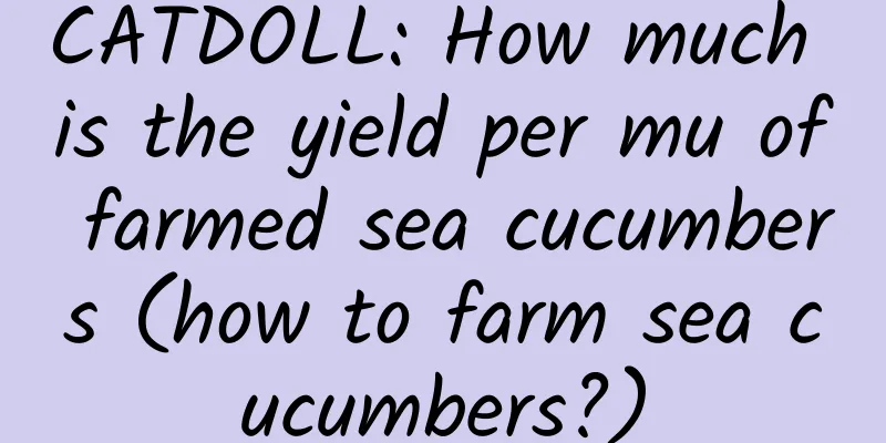 CATDOLL: How much is the yield per mu of farmed sea cucumbers (how to farm sea cucumbers?)