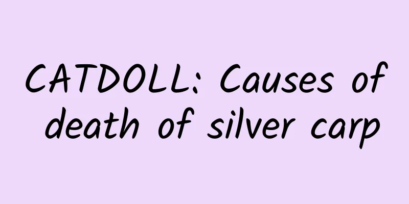 CATDOLL: Causes of death of silver carp