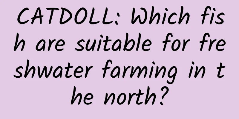 CATDOLL: Which fish are suitable for freshwater farming in the north?