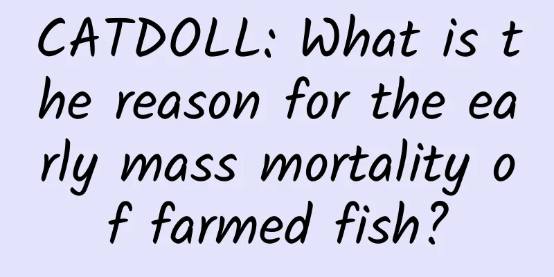 CATDOLL: What is the reason for the early mass mortality of farmed fish?