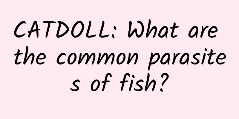 CATDOLL: What are the common parasites of fish?