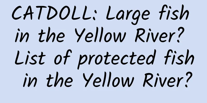 CATDOLL: Large fish in the Yellow River? List of protected fish in the Yellow River?