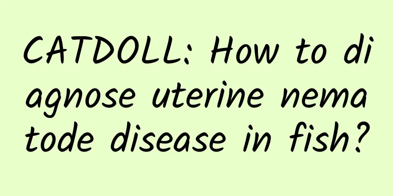 CATDOLL: How to diagnose uterine nematode disease in fish?