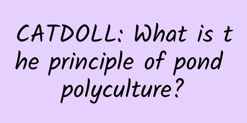 CATDOLL: What is the principle of pond polyculture?