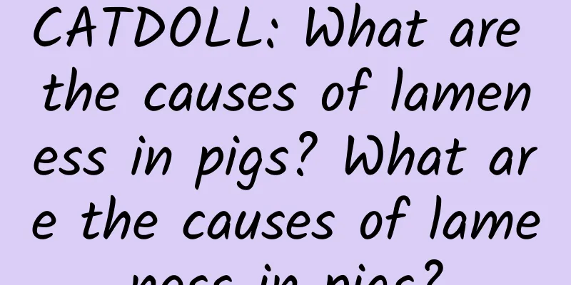 CATDOLL: What are the causes of lameness in pigs? What are the causes of lameness in pigs?