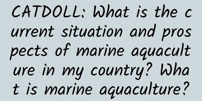 CATDOLL: What is the current situation and prospects of marine aquaculture in my country? What is marine aquaculture?