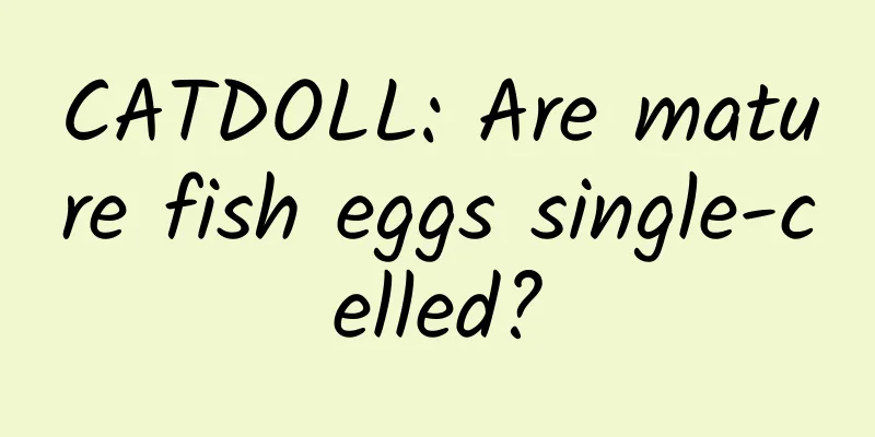 CATDOLL: Are mature fish eggs single-celled?