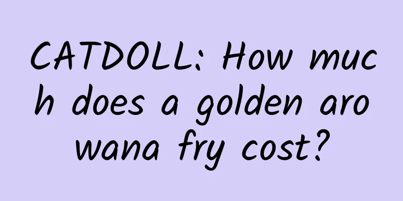 CATDOLL: How much does a golden arowana fry cost?