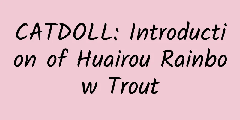 CATDOLL: Introduction of Huairou Rainbow Trout