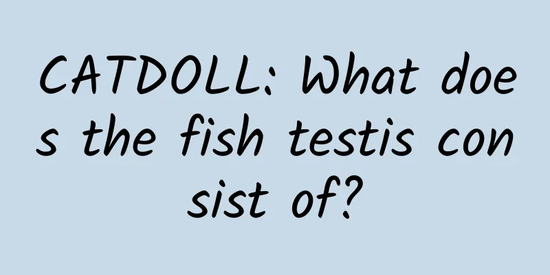 CATDOLL: What does the fish testis consist of?