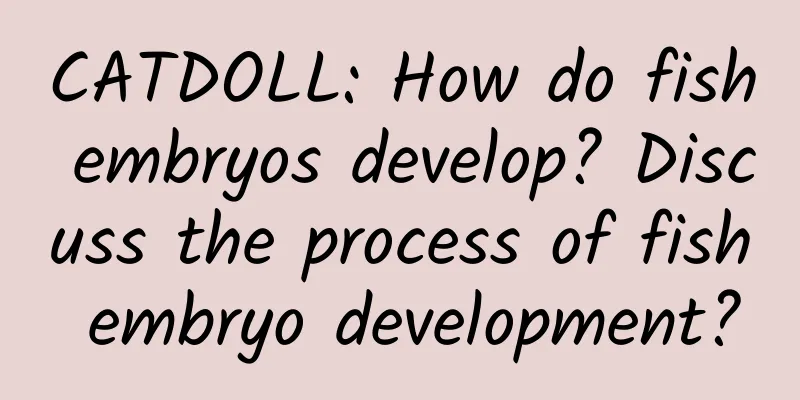 CATDOLL: How do fish embryos develop? Discuss the process of fish embryo development?