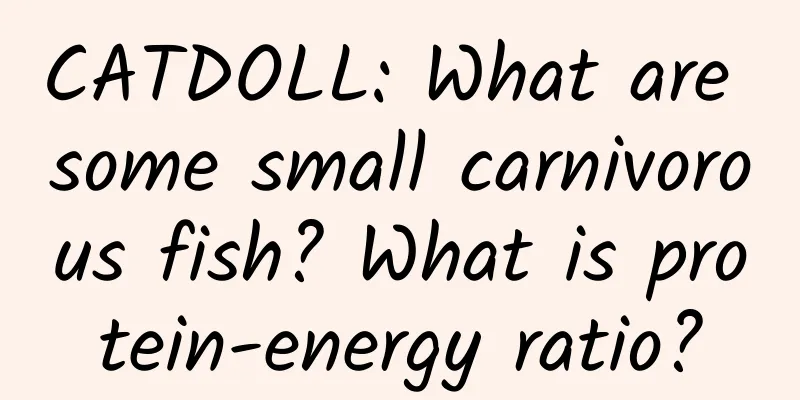 CATDOLL: What are some small carnivorous fish? What is protein-energy ratio?