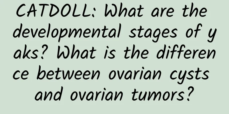 CATDOLL: What are the developmental stages of yaks? What is the difference between ovarian cysts and ovarian tumors?