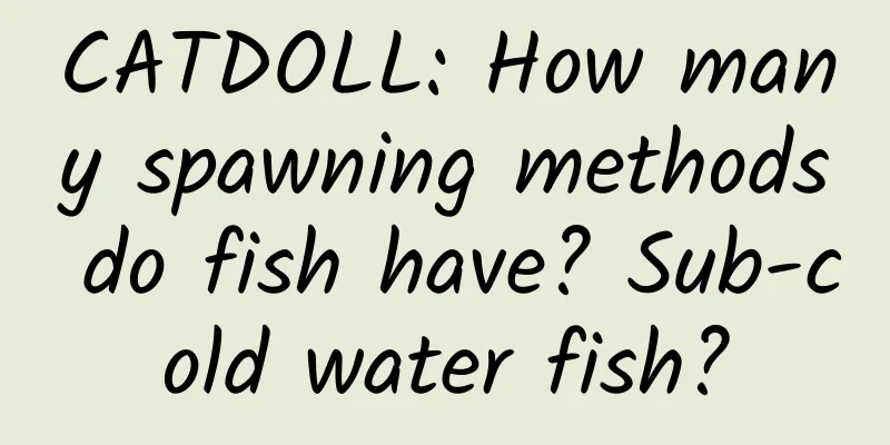 CATDOLL: How many spawning methods do fish have? Sub-cold water fish?