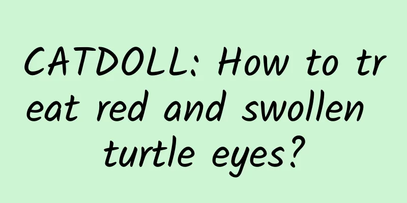 CATDOLL: How to treat red and swollen turtle eyes?
