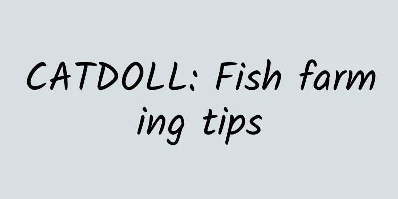 CATDOLL: Fish farming tips