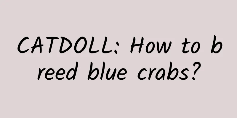 CATDOLL: How to breed blue crabs?